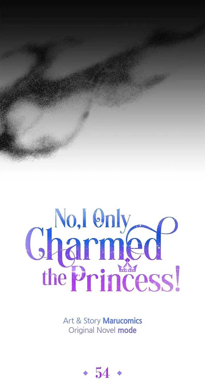 No, I Only Charmed the Princess! Chapter 54 page 38