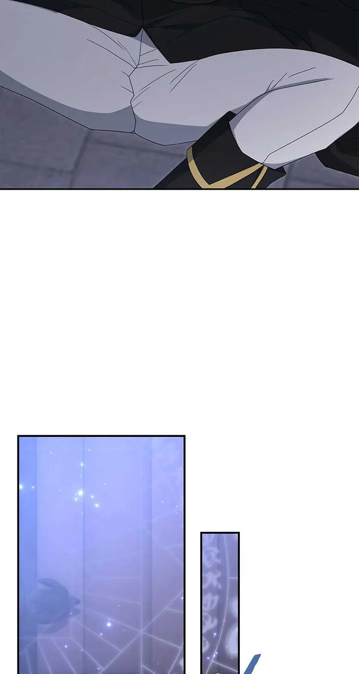 No, I Only Charmed the Princess! Chapter 53 page 28