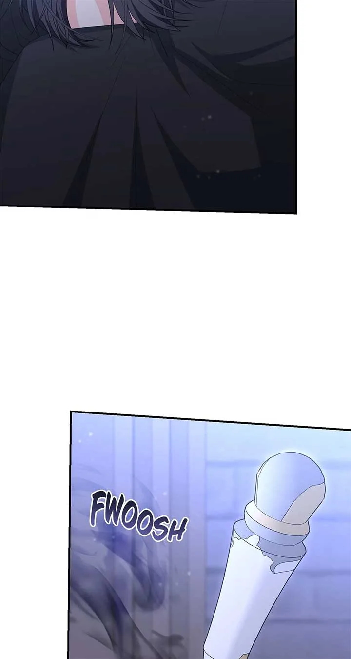 No, I Only Charmed the Princess! Chapter 55 page 48