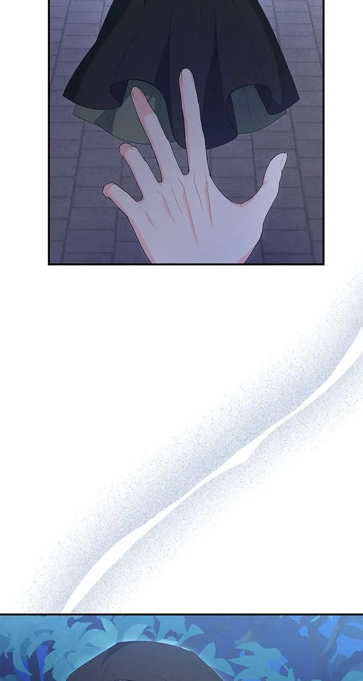 No, I Only Charmed the Princess! Chapter 53 page 41