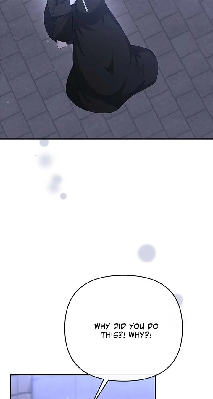 No, I Only Charmed the Princess! Chapter 55 page 13