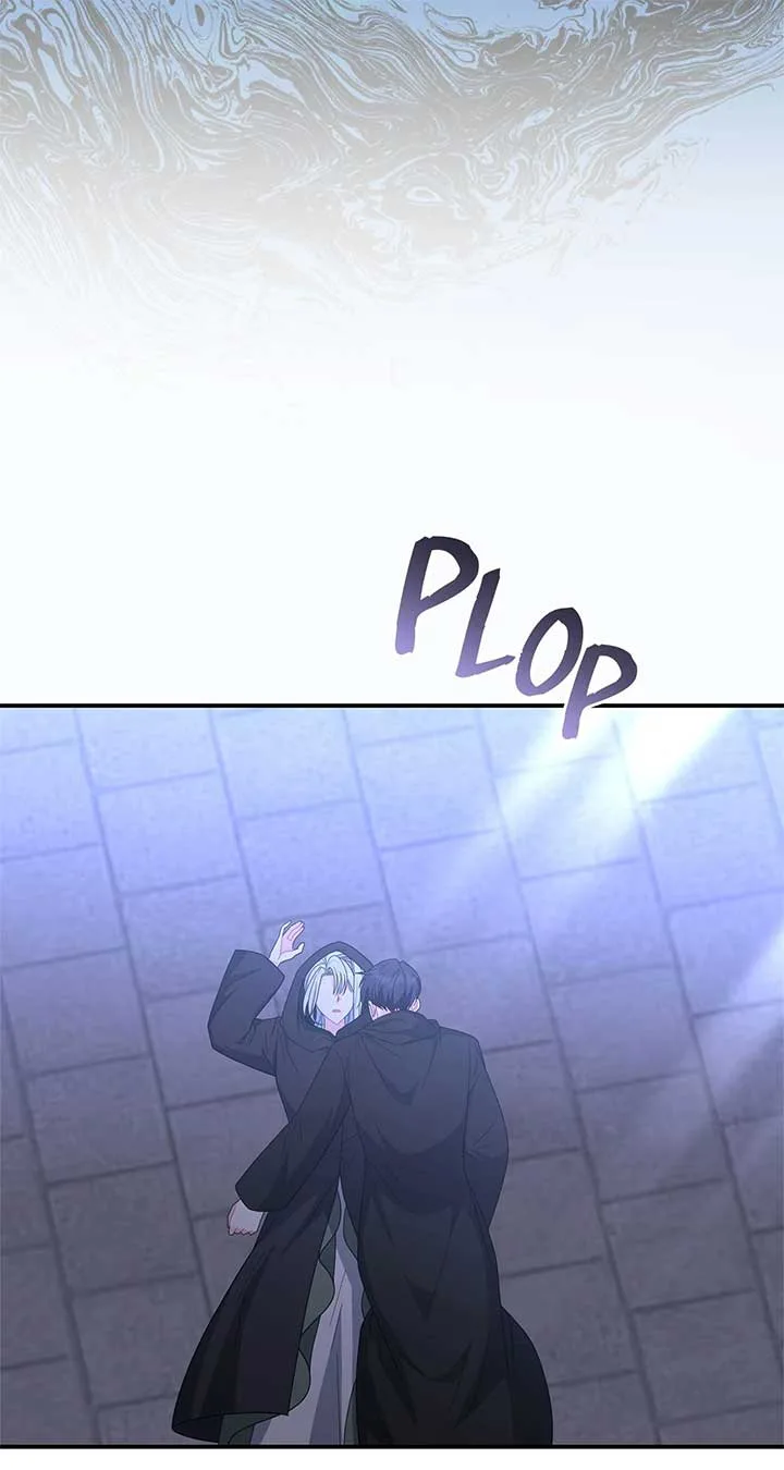 No, I Only Charmed the Princess! Chapter 55 page 74