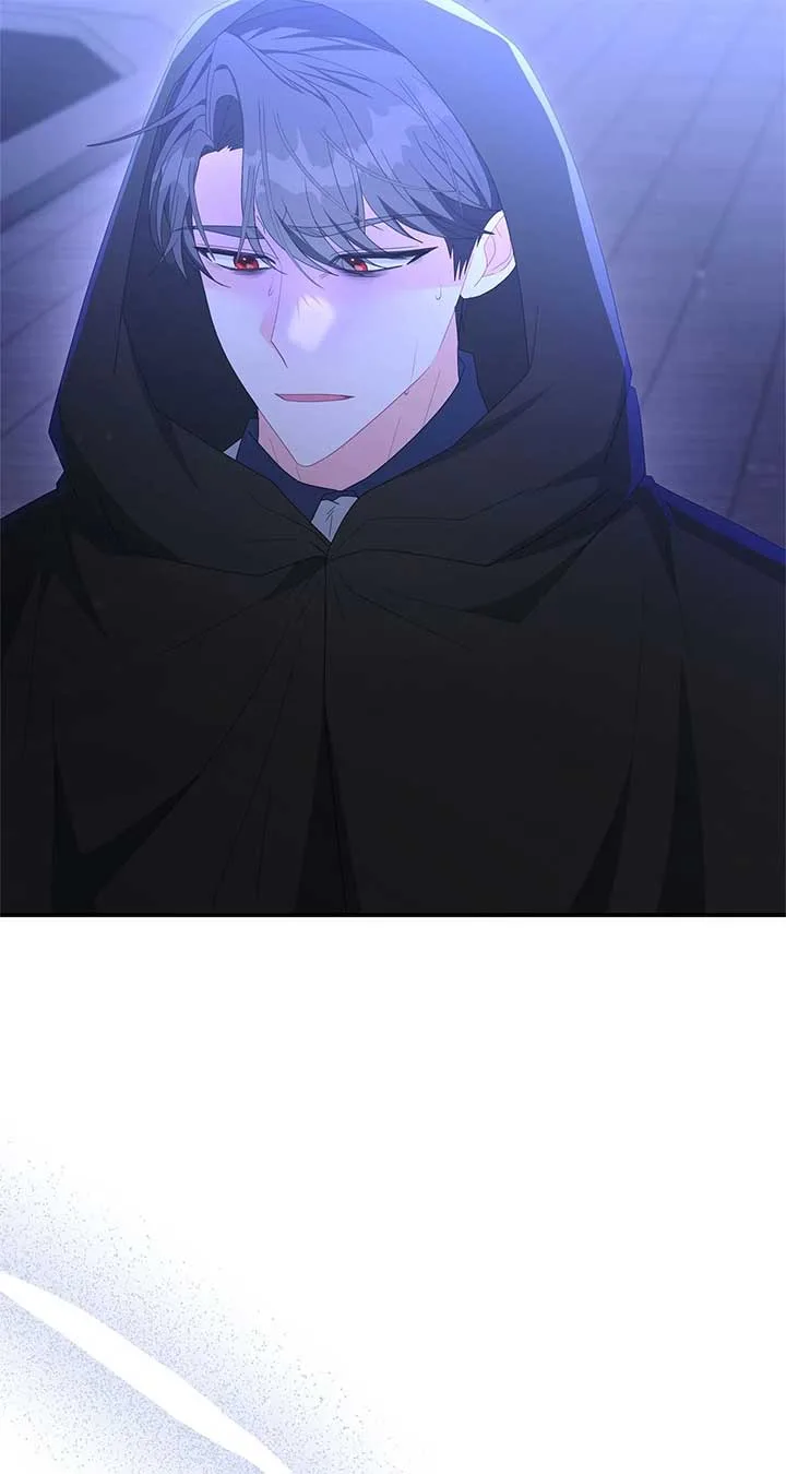 No, I Only Charmed the Princess! Chapter 55 page 8