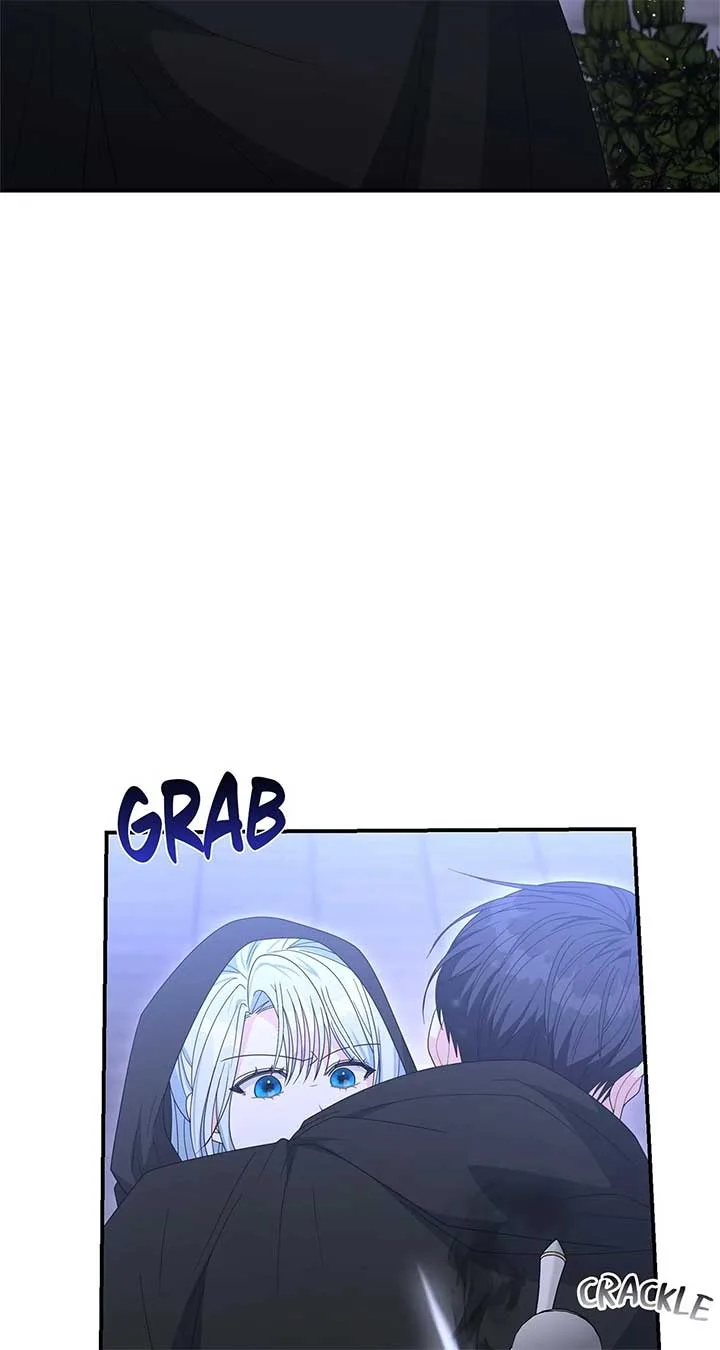 No, I Only Charmed the Princess! Chapter 55 page 42