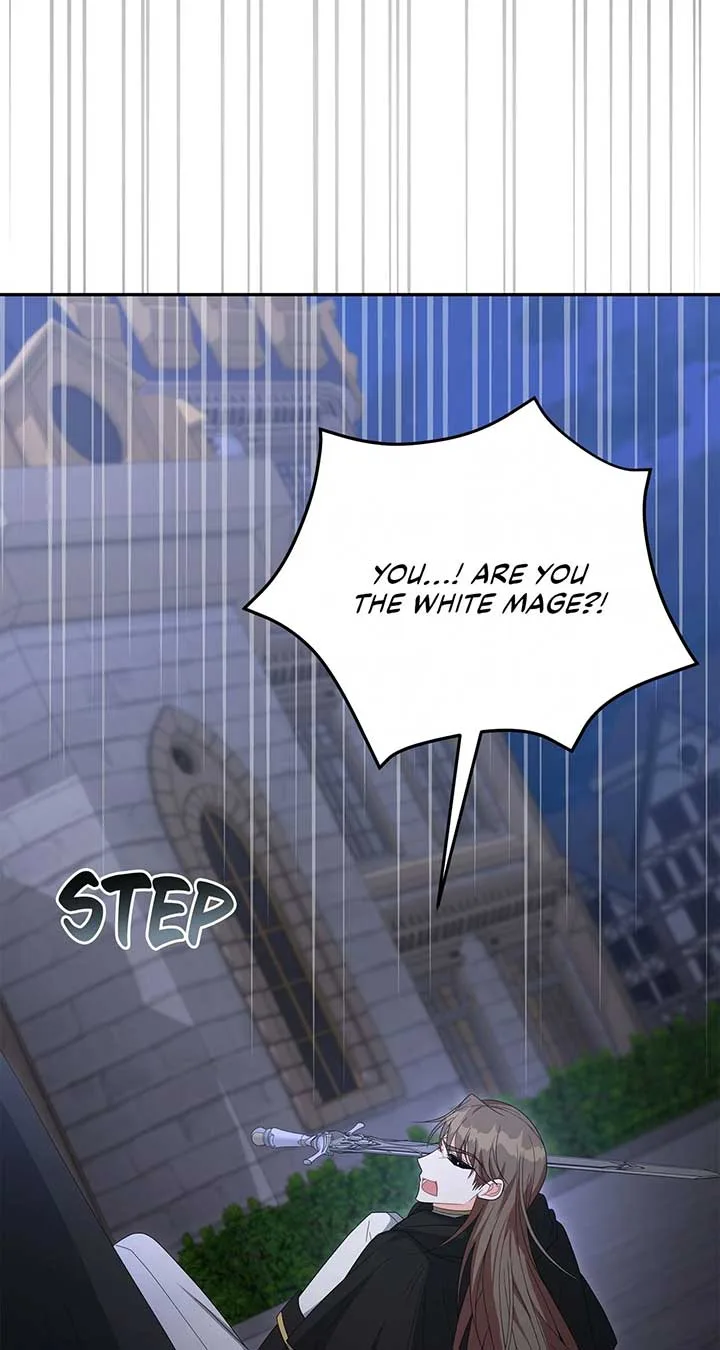 No, I Only Charmed the Princess! Chapter 53 page 49