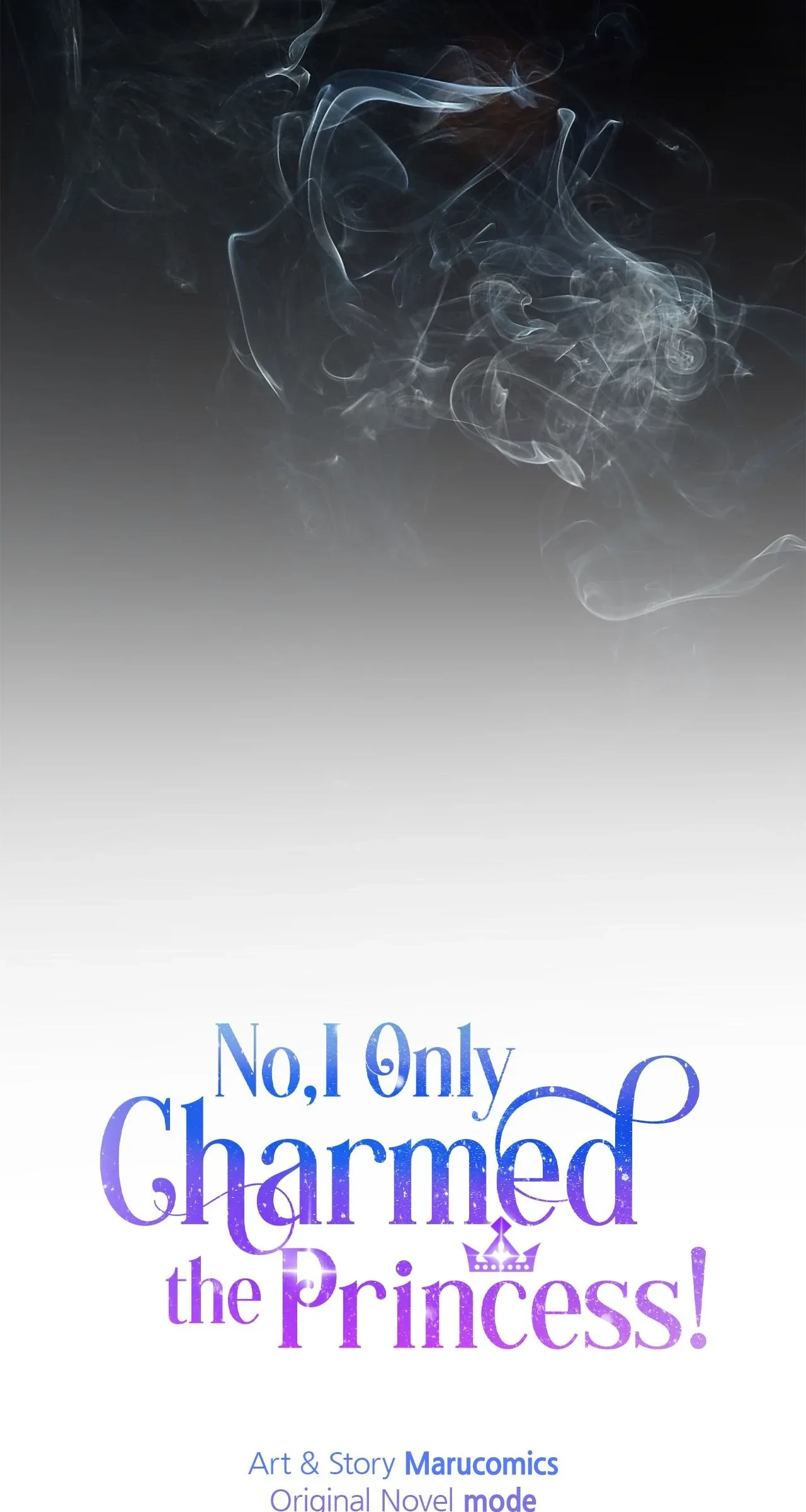 No, I Only Charmed the Princess! Chapter 56 page 27