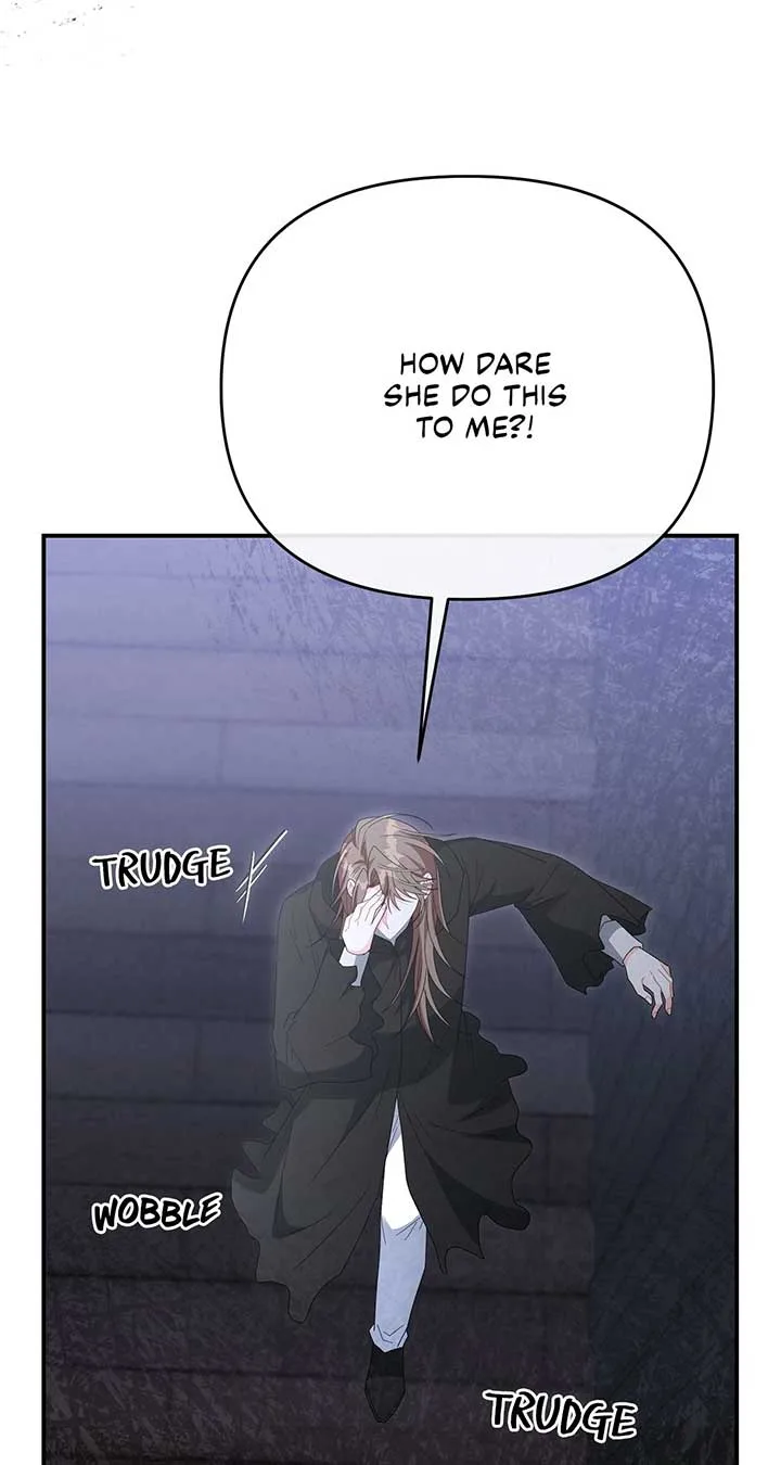No, I Only Charmed the Princess! Chapter 58 page 13