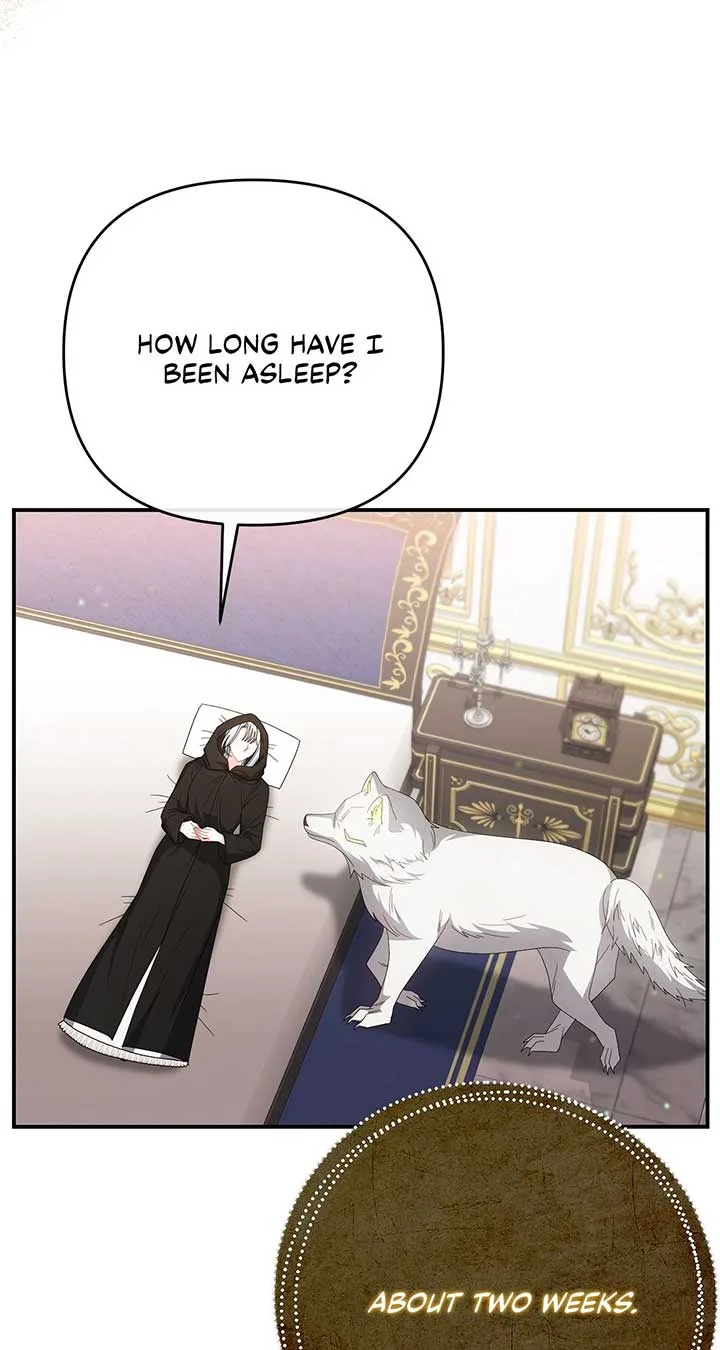 No, I Only Charmed the Princess! Chapter 59 page 3