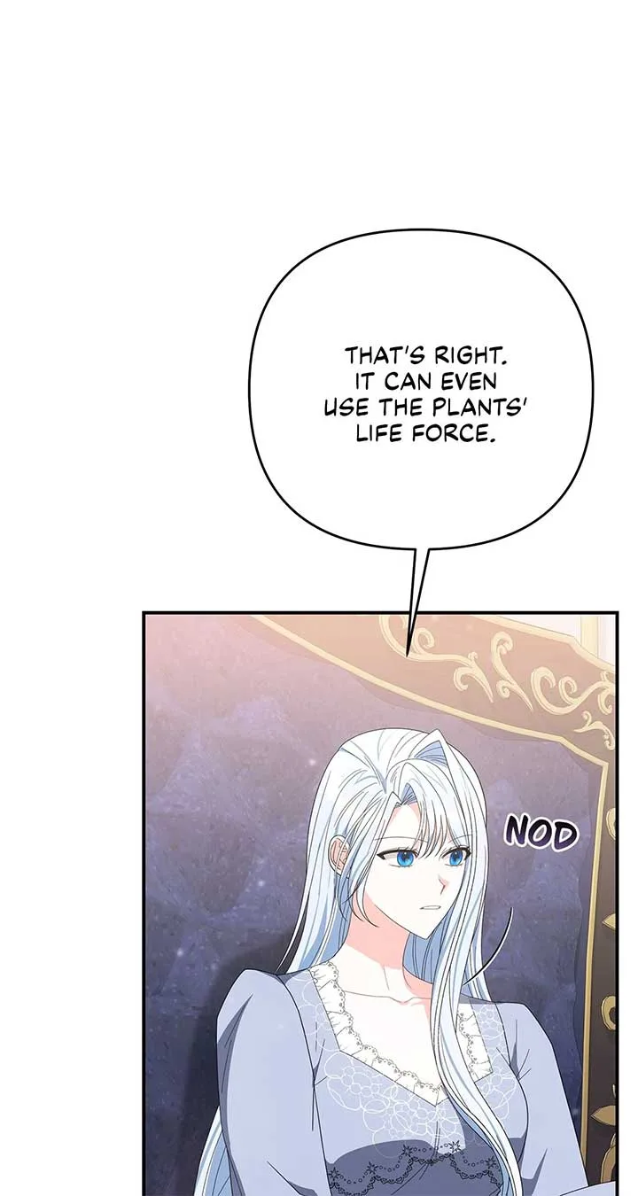 No, I Only Charmed the Princess! Chapter 60 page 11
