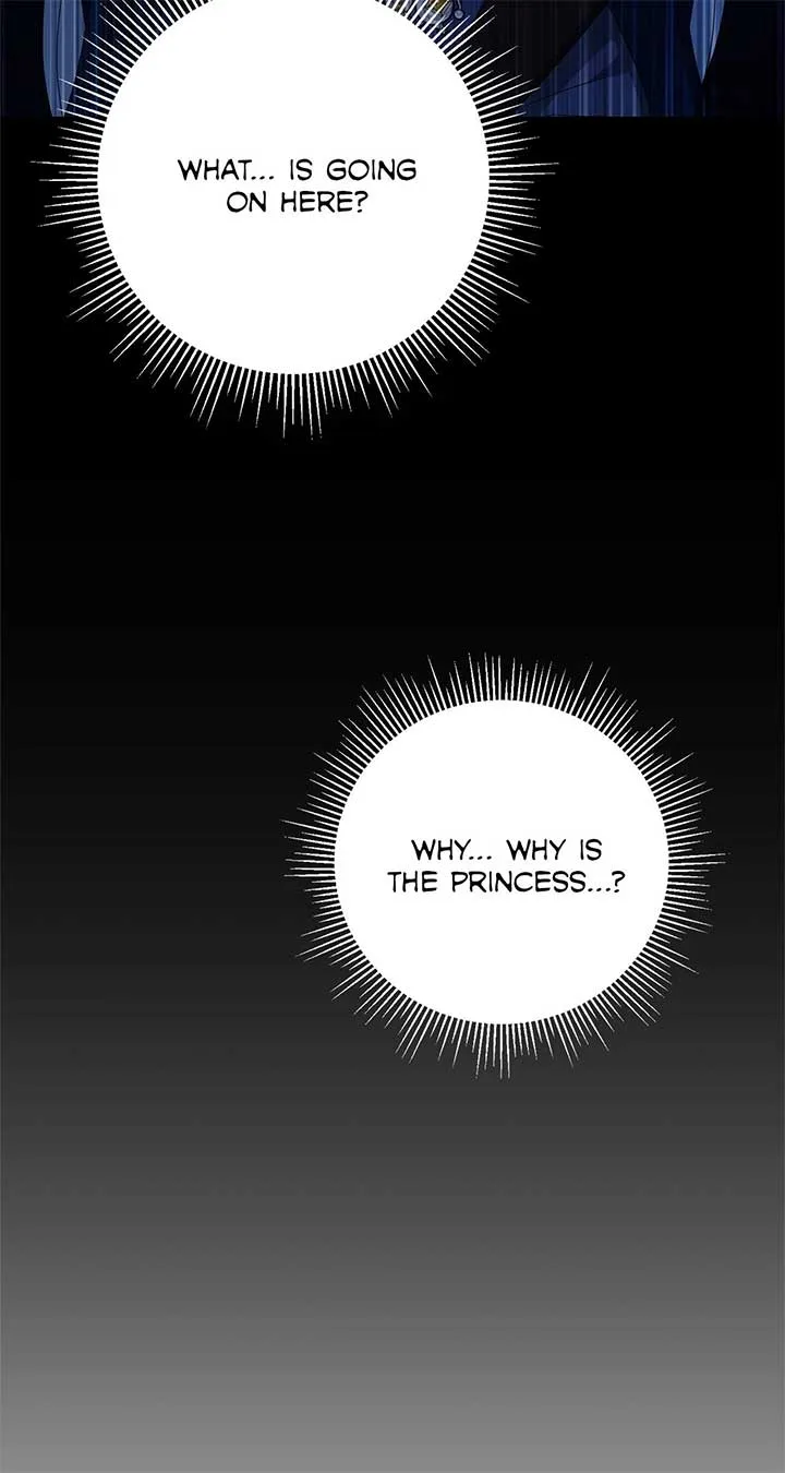 No, I Only Charmed the Princess! Chapter 64 page 3