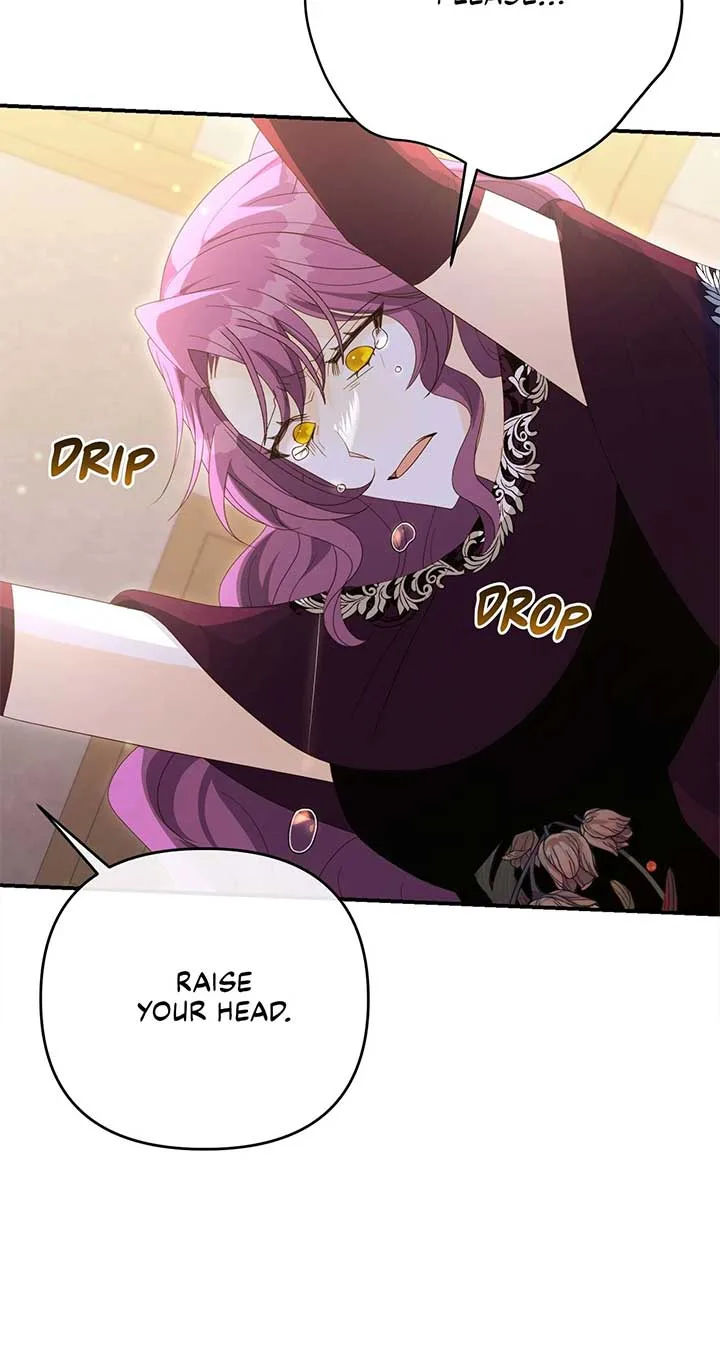 No, I Only Charmed the Princess! Chapter 65 page 45