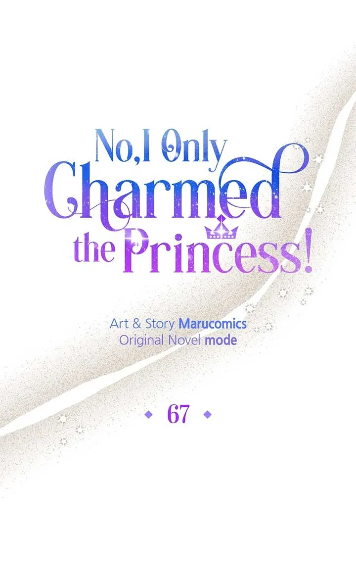 No, I Only Charmed the Princess! Chapter 67 page 11