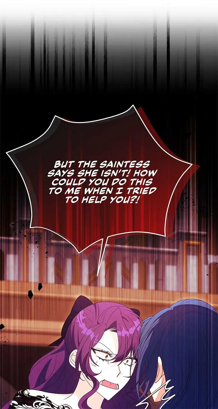 No, I Only Charmed the Princess! Chapter 65 page 33