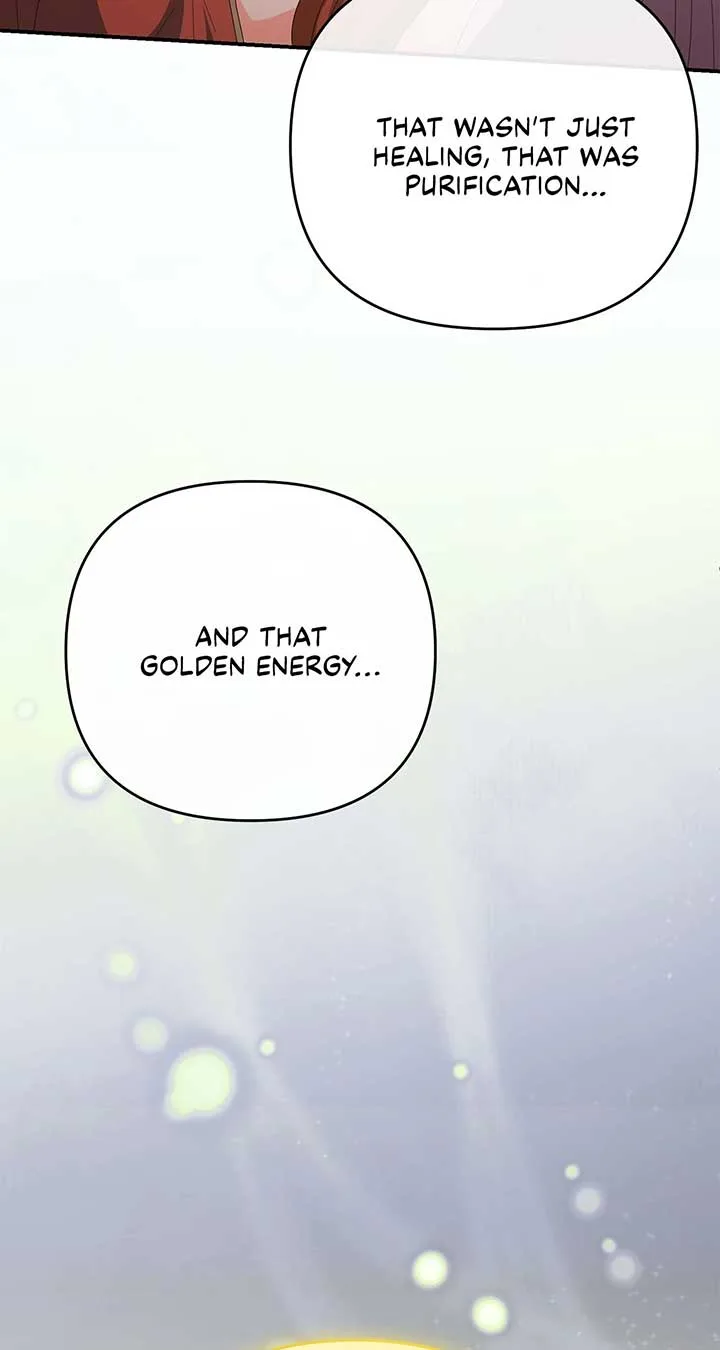 No, I Only Charmed the Princess! Chapter 66 page 19