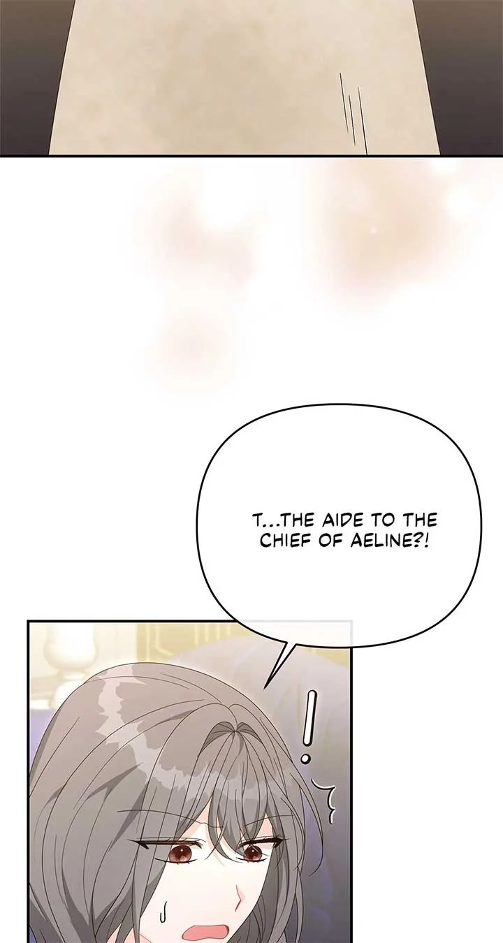 No, I Only Charmed the Princess! Chapter 68 page 37