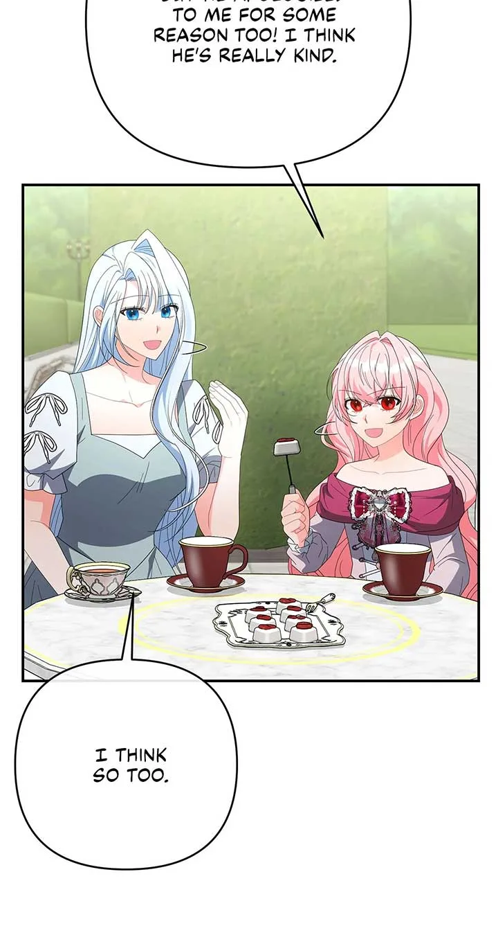 No, I Only Charmed the Princess! Chapter 70 page 28