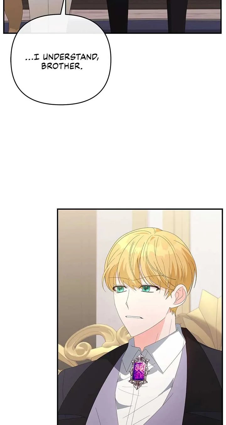 No, I Only Charmed the Princess! Chapter 69 page 46
