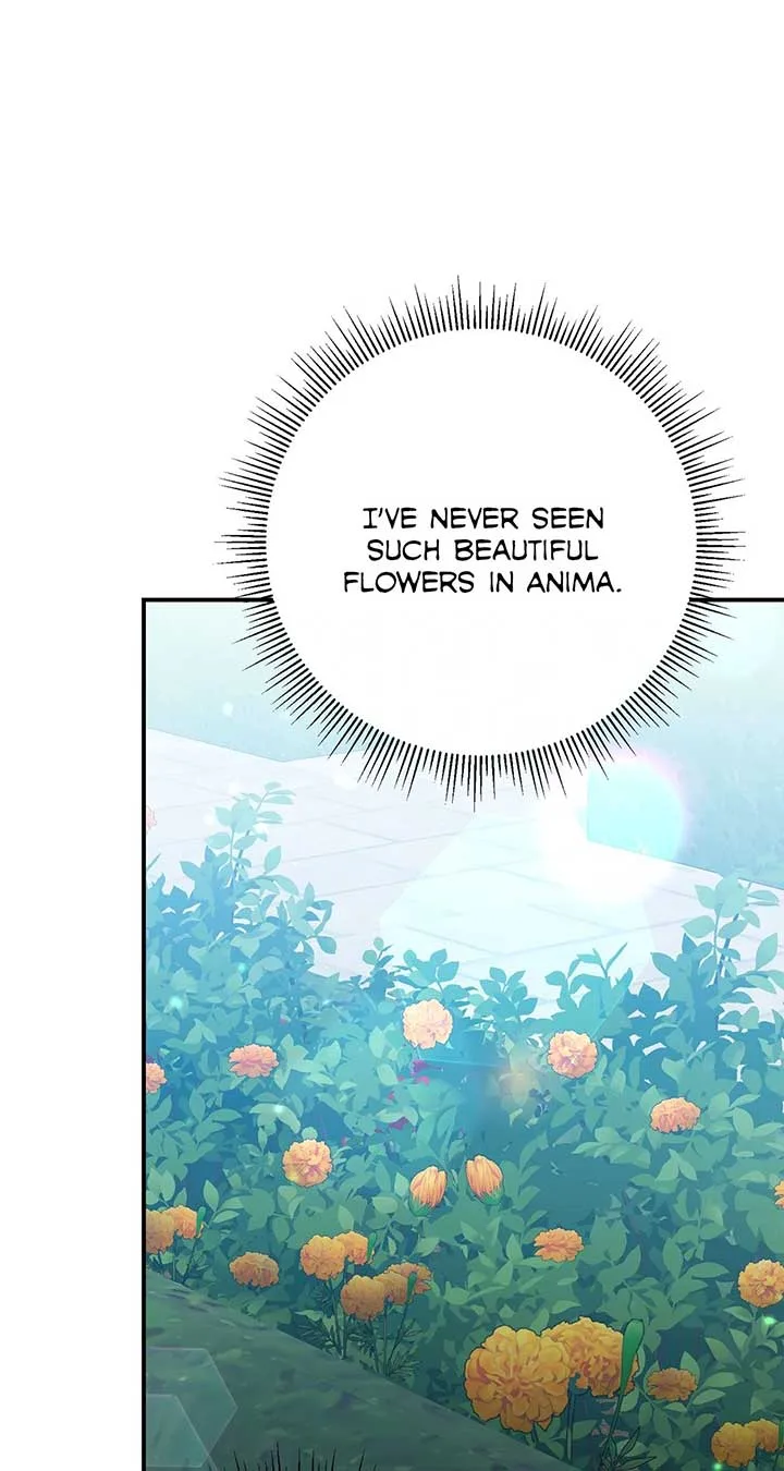 No, I Only Charmed the Princess! Chapter 69 page 85