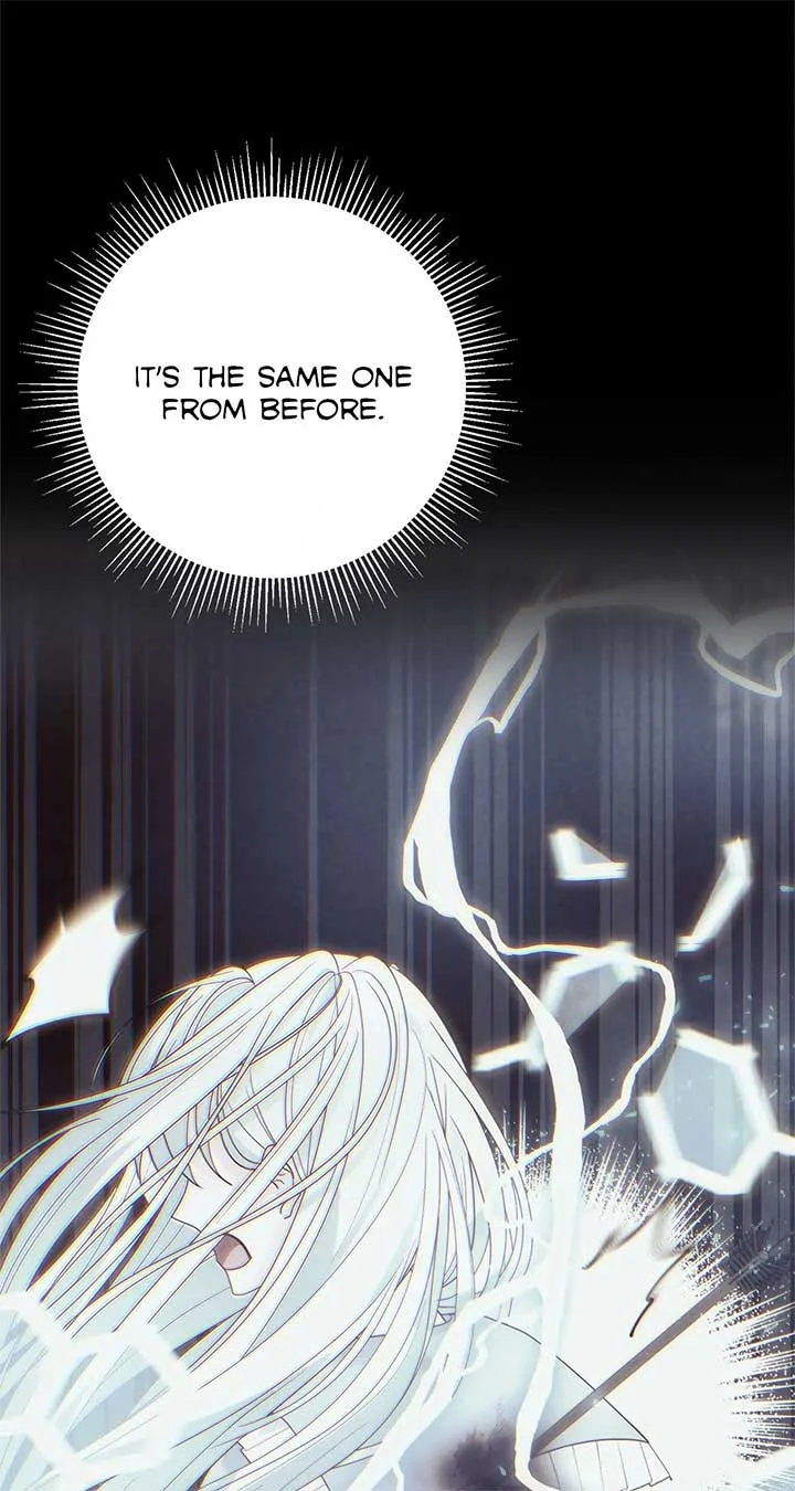 No, I Only Charmed the Princess! Chapter 70 page 52