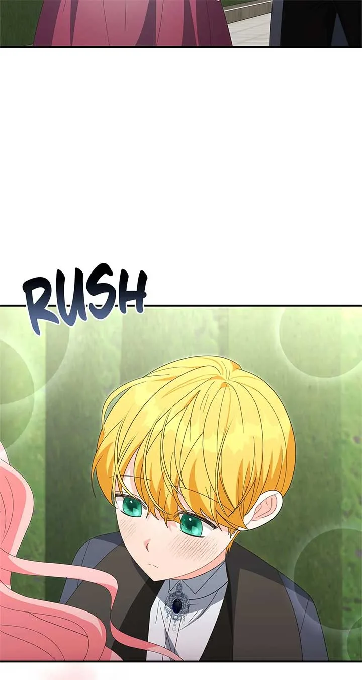 No, I Only Charmed the Princess! Chapter 70 page 66