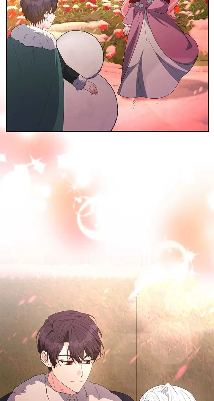 No, I Only Charmed the Princess! Chapter 71 page 27