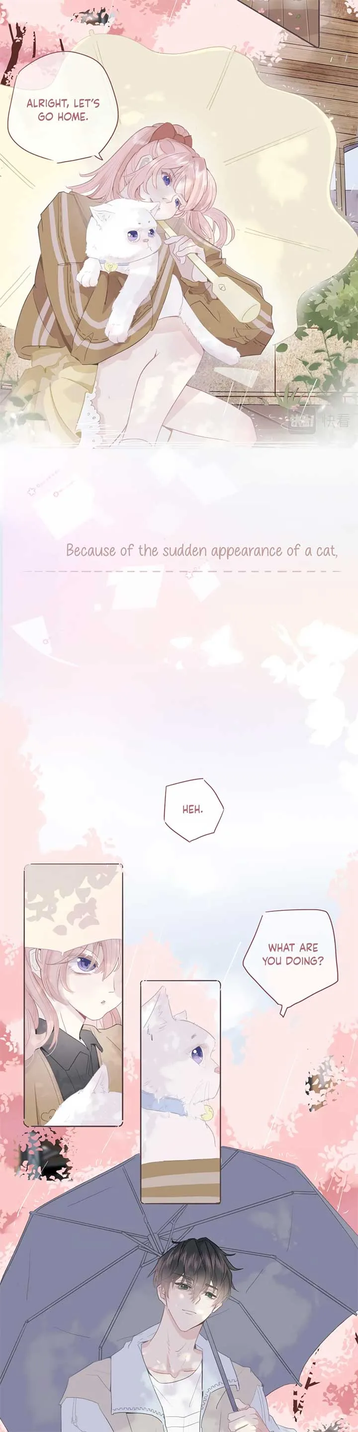 Notes on Cherry Blossom Chapter 0 page 5