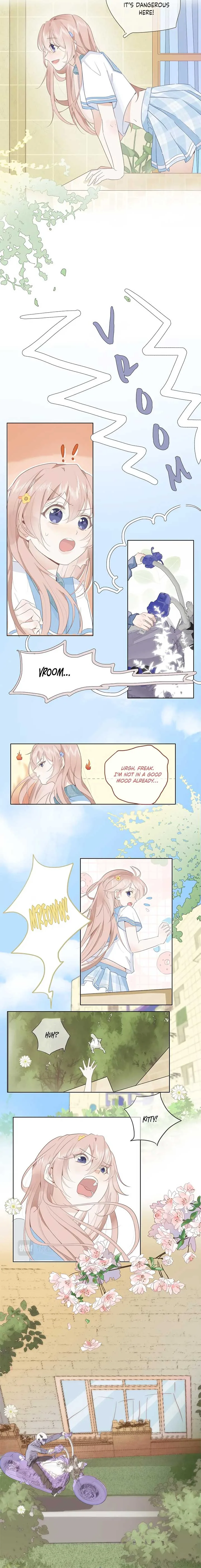 Notes on Cherry Blossom Chapter 2 page 4