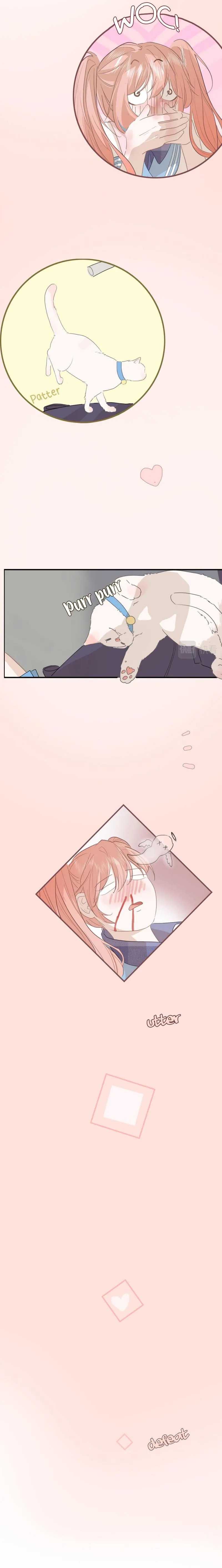 Notes on Cherry Blossom Chapter 7 page 12