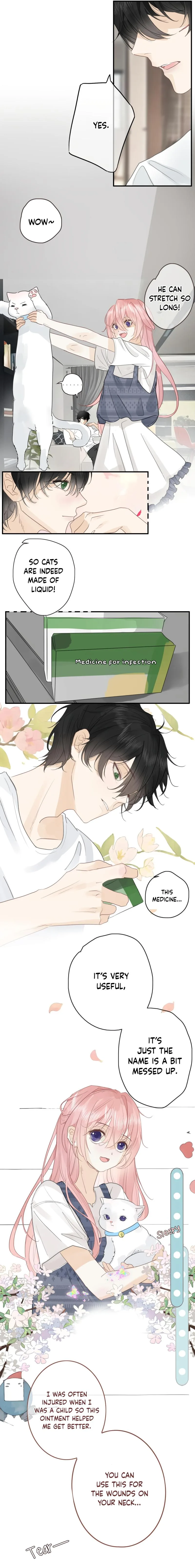 Notes on Cherry Blossom Chapter 11 page 7