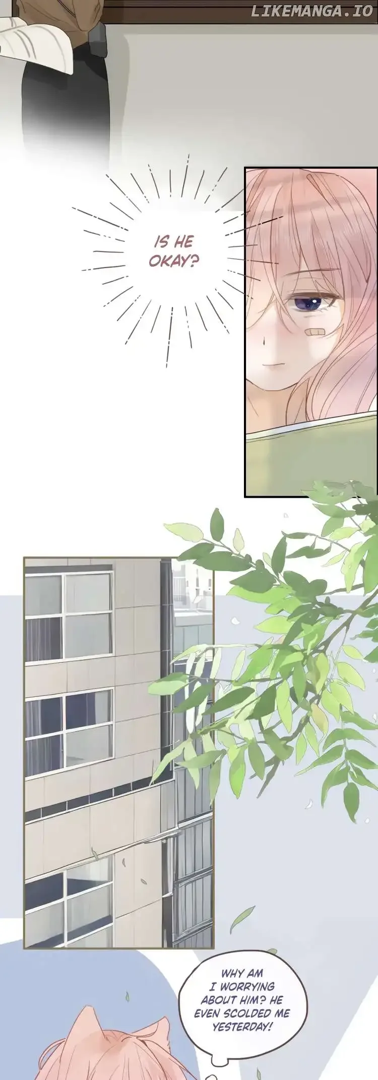 Notes on Cherry Blossom Chapter 14 page 5