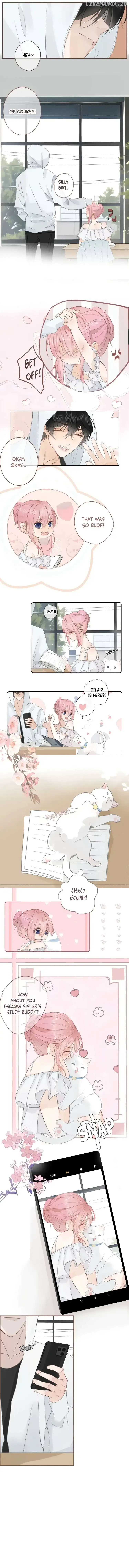 Notes on Cherry Blossom Chapter 15 page 4