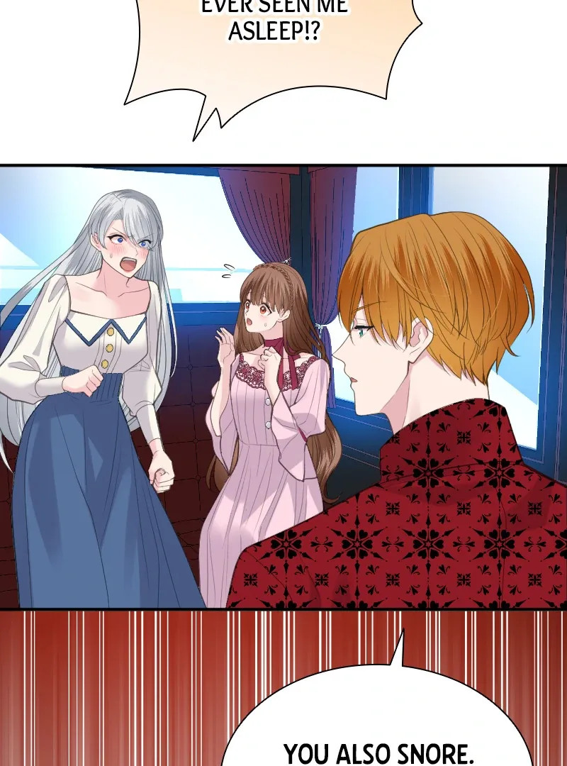 Notorious Wife-Killer’s Remarriage Proposal Chapter 33 page 17