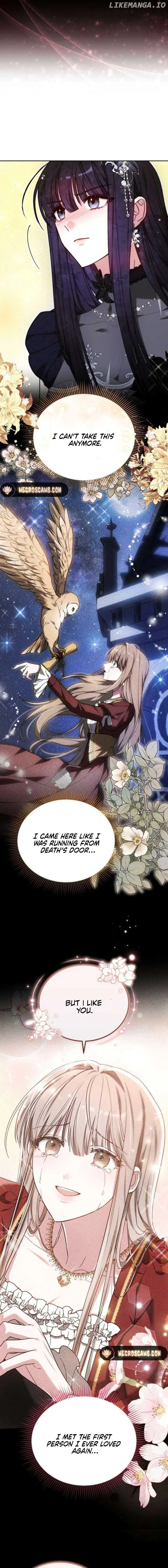 Obsidian Bride Chapter 92 page 13