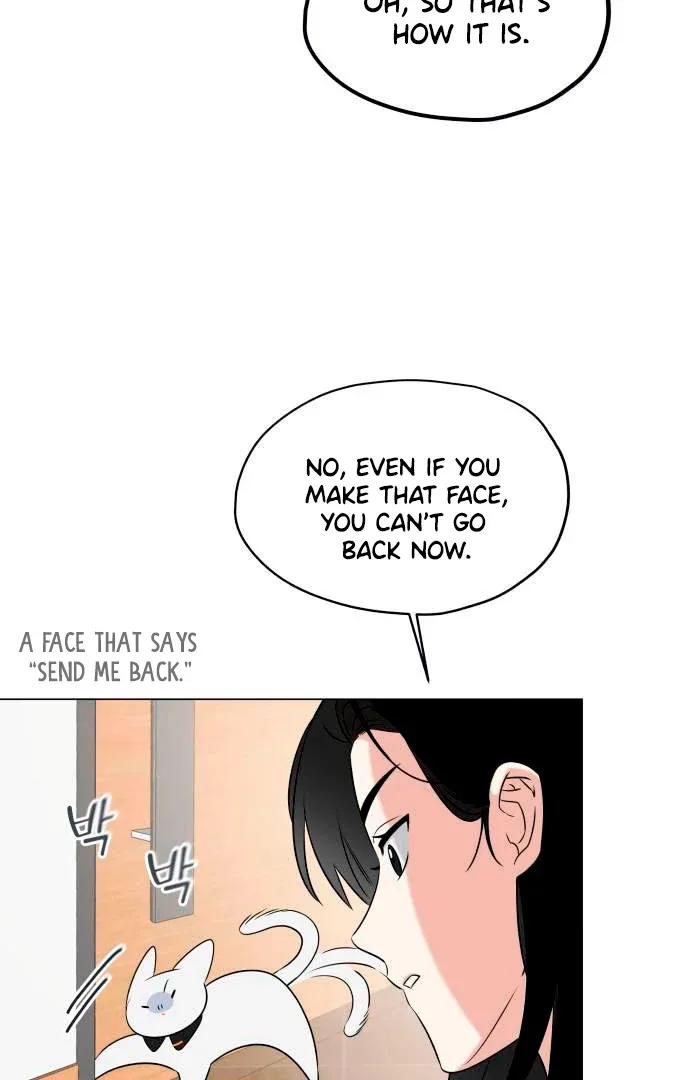 Obssesed butler Chapter 13 page 43