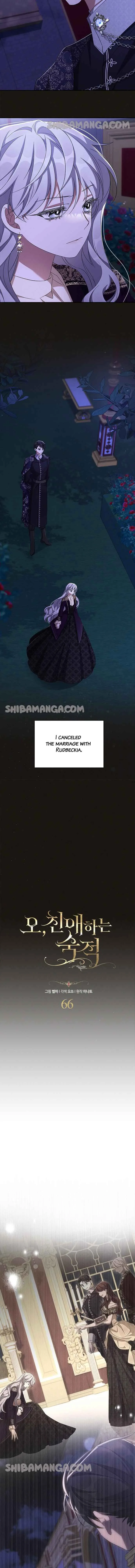 Oh, Dear Nemesis Chapter 66 page 3