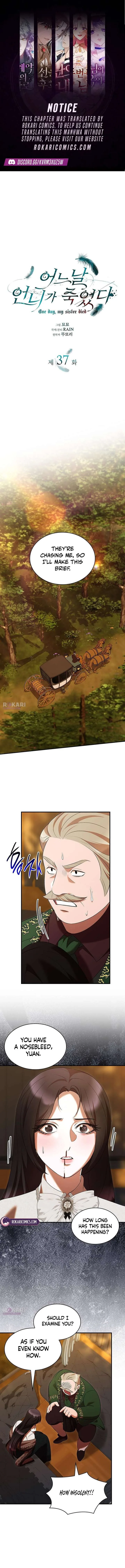 One Day My Sister Died Chapter 37 page 2