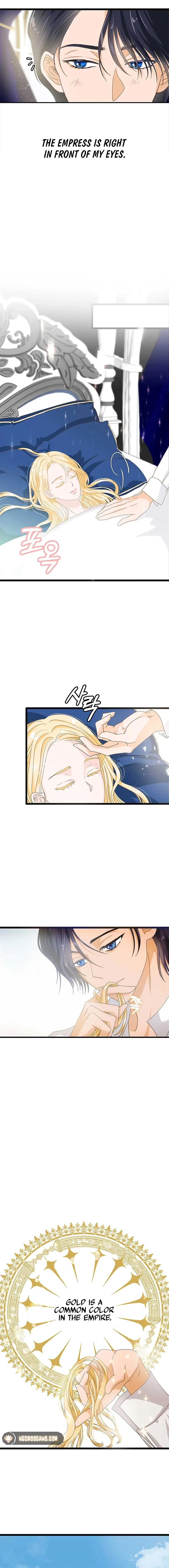 Our Majesty Has Changed Chapter 3 page 3