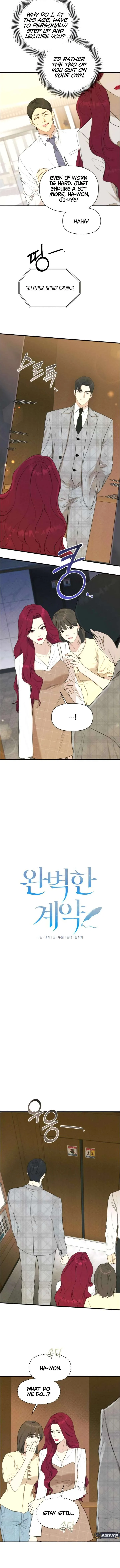 Perfect Contract Chapter 74 page 4