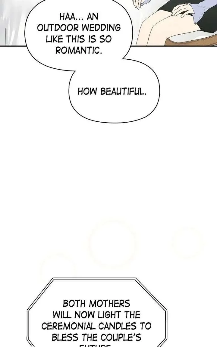 Perfect Contract Chapter 84 page 37