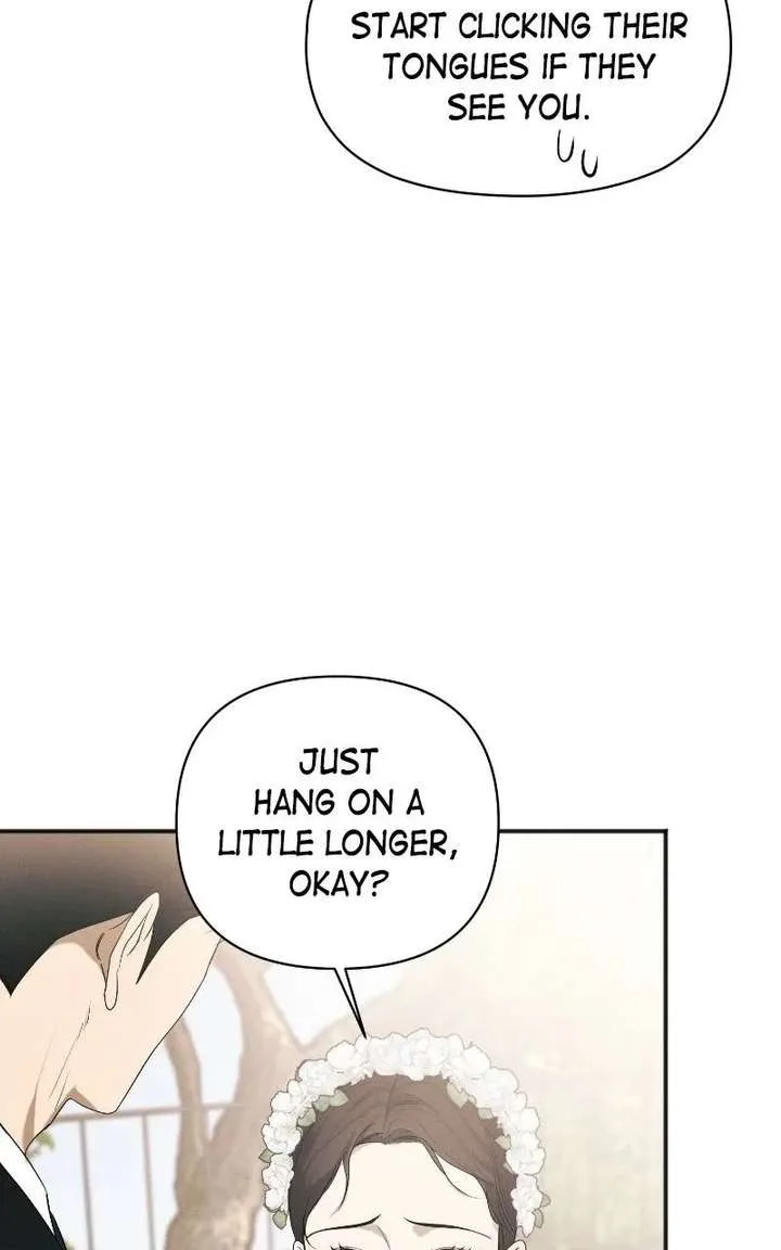 Perfect Contract Chapter 84 page 84