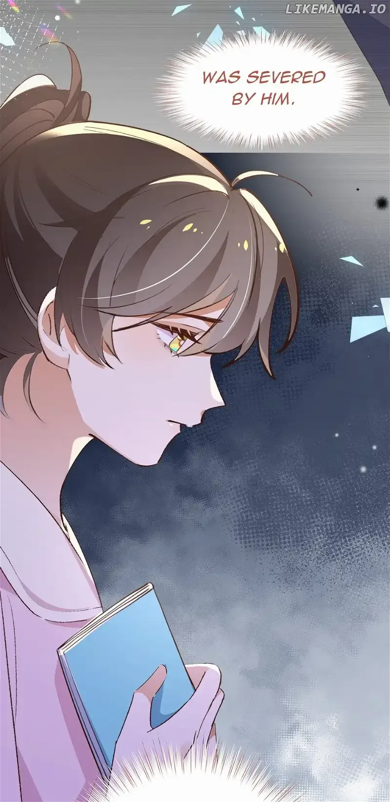 Perfect Heroine Wants to Possess Me Chapter 72 page 14