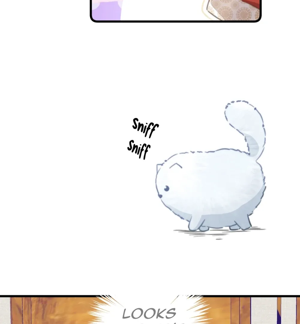 Pet the Little Princess Chapter 90 page 21