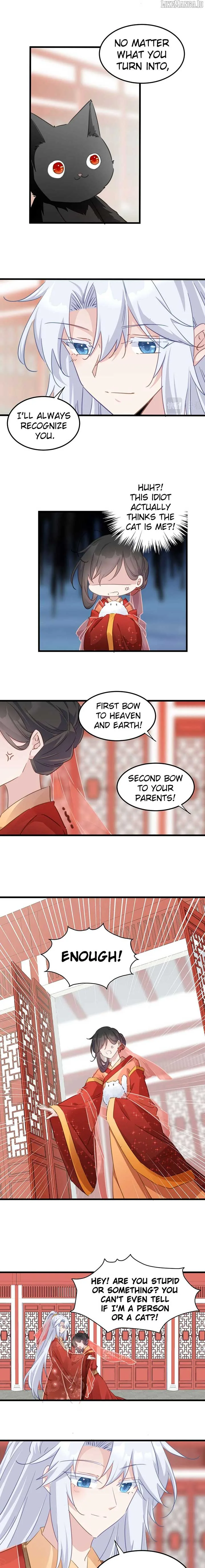 Pet the Little Princess Chapter 120 page 3