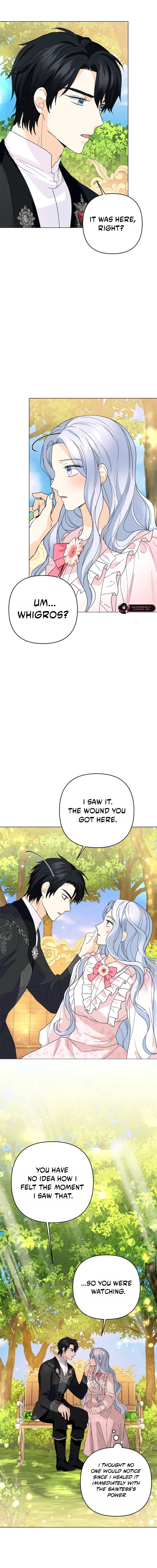 Secret Love Affair Between a Former Saint and a Dark Hero Chapter 38 page 5