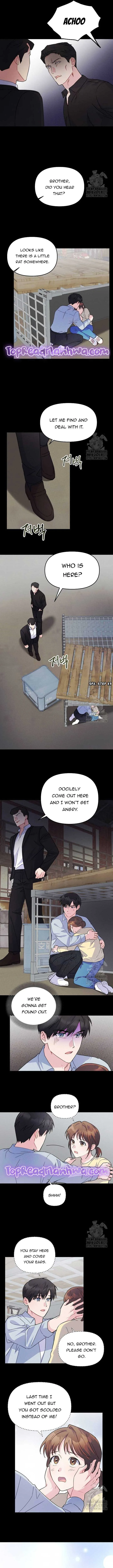 Playing With The Hot Gangster Chapter 19 page 5