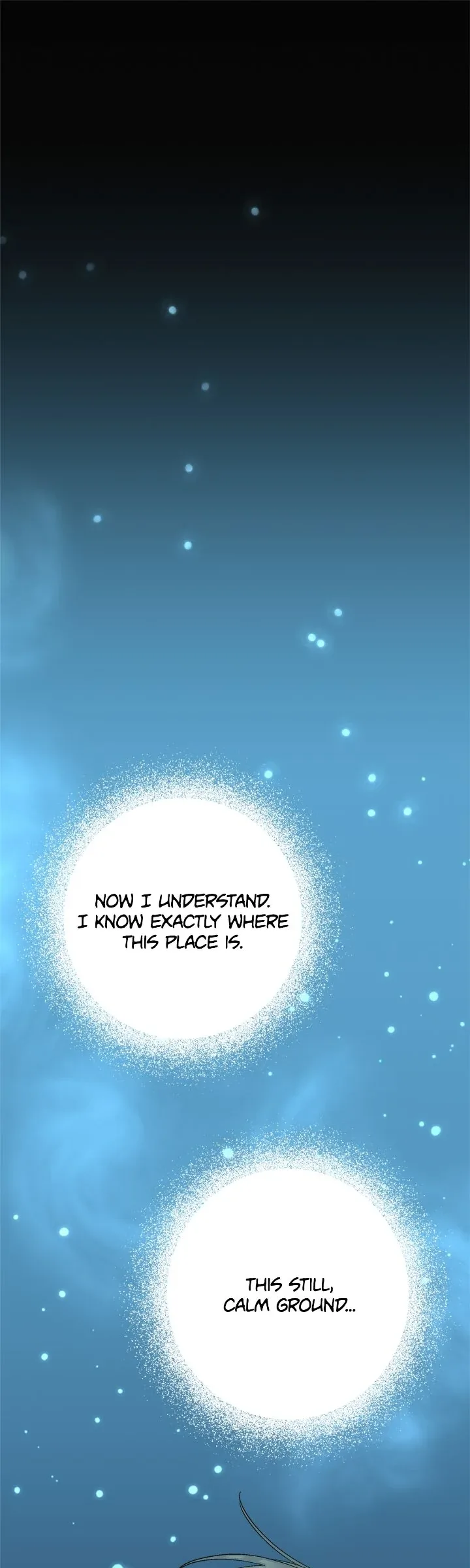 Please Cry, Crown Prince Chapter 88 page 11
