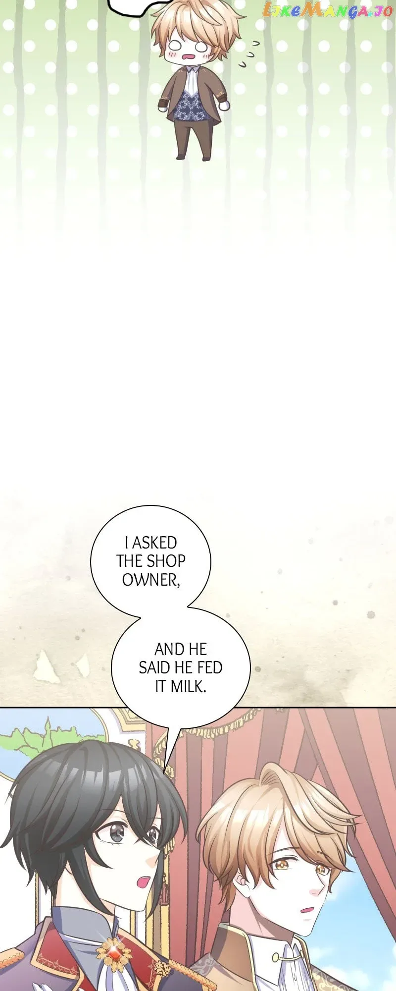 Please Fulfill Your End of the Bargain, My Grace! Chapter 20 page 28