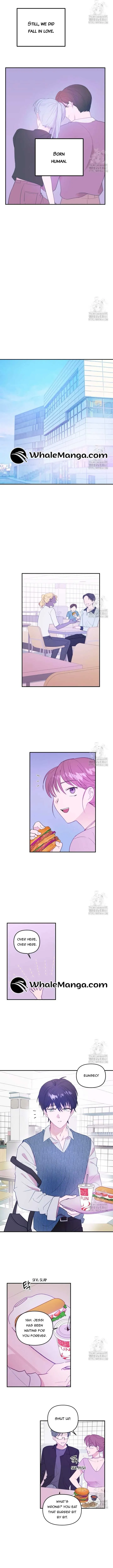 Poor Cambion Chapter 4 page 8