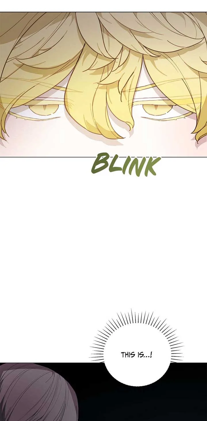 Princess’s Doll Shop Chapter 79 page 69