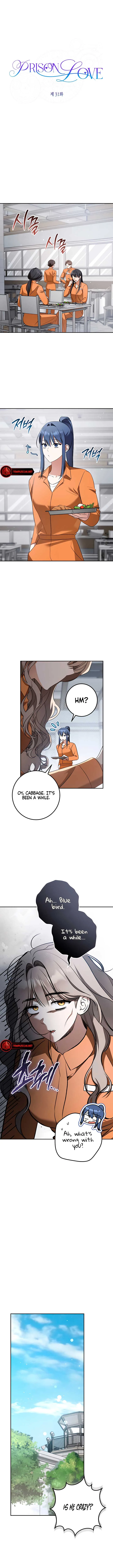 Prison Love Chapter 31 page 4